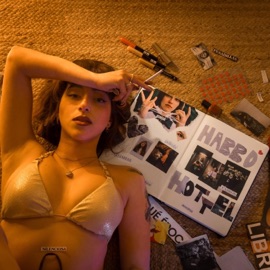 NIVELES ASHEERAH & Vanger