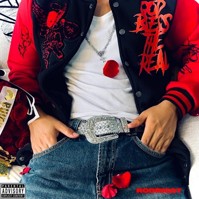 EL PRIMER ALBUM DE RODRIGOT