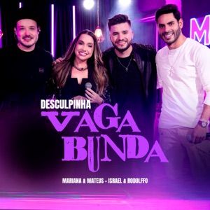 Desculpinha Vagabunda (Ao Vivo)