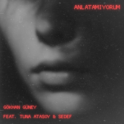 Anlatamıyorum (feat. Tuna Atasoy & Sedef) - Single