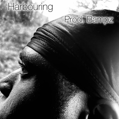 Harbouring - Single