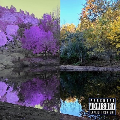 Make Me Feel Like (feat. LateNight$) - Single