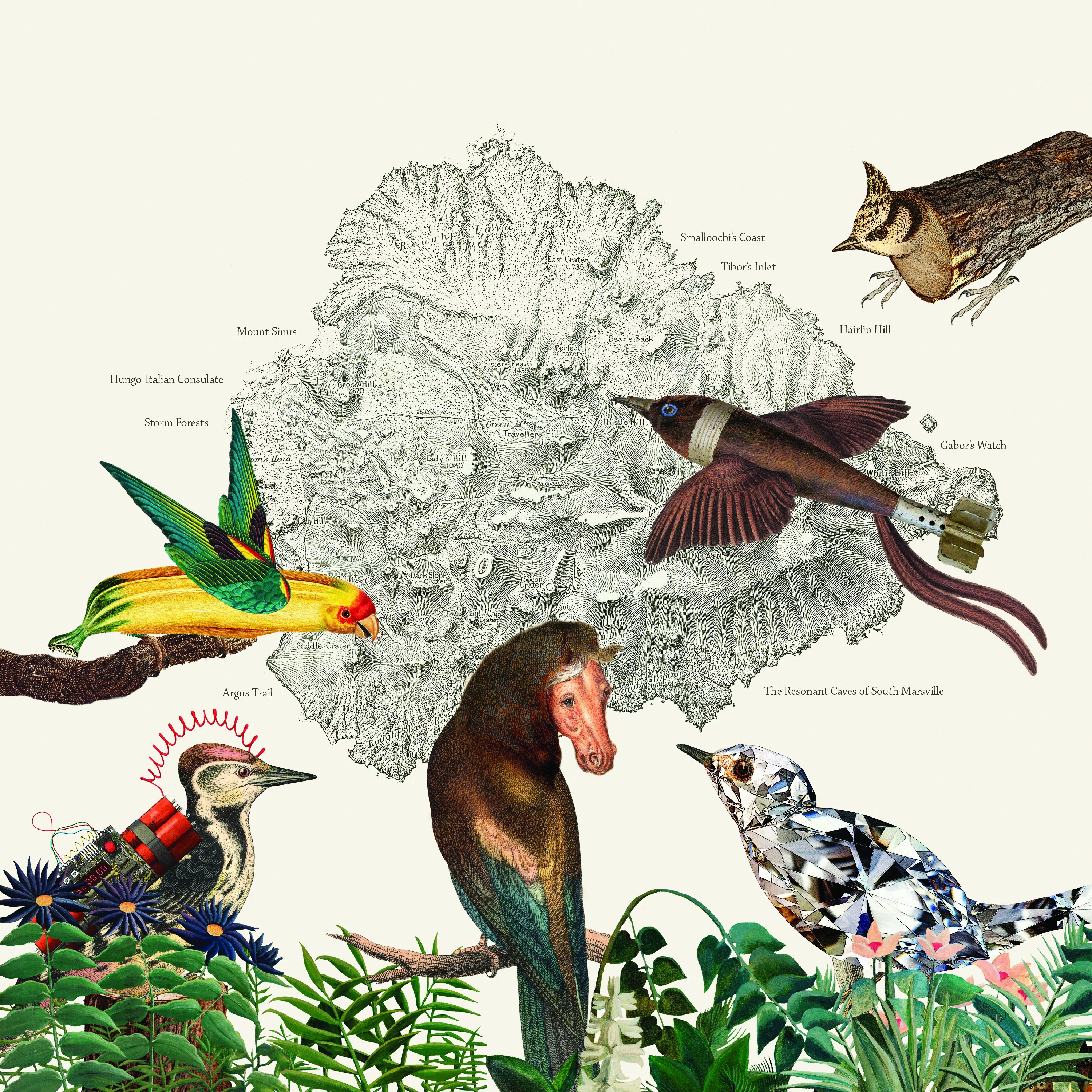 The Birds of Marsville