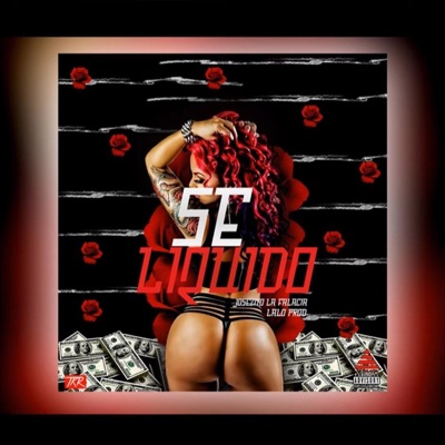 Se Liquido - Single