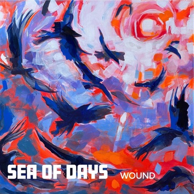 Wound