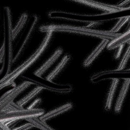 OIT Lémurien, Chillax & OGmar