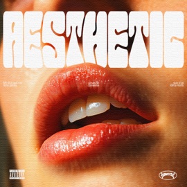 AESTHETIC Kingzy