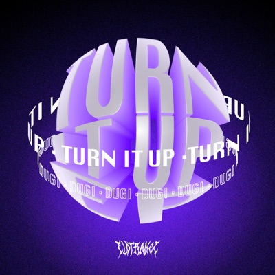 Turn It Up - Single