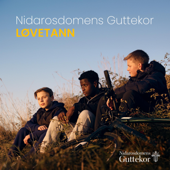 Løvetann - Nidarosdomens Guttekor Cover Art