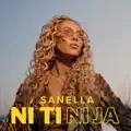 NI TI NI JA