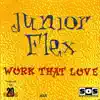 Work That Love