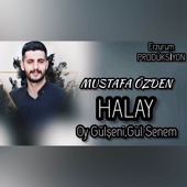 Halay (Oy Gülşeni, Gülsenem) artwork