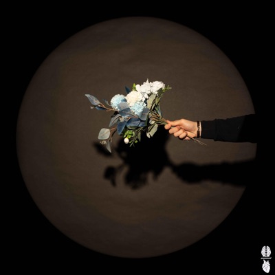 A Chance To Bloom - Single