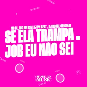 Se Ela Trampa no Job Eu Não Sei (feat. MC Mr Bim)