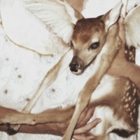 Evergreen - elliebell