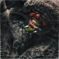 Revolu - Single - Dshuffle