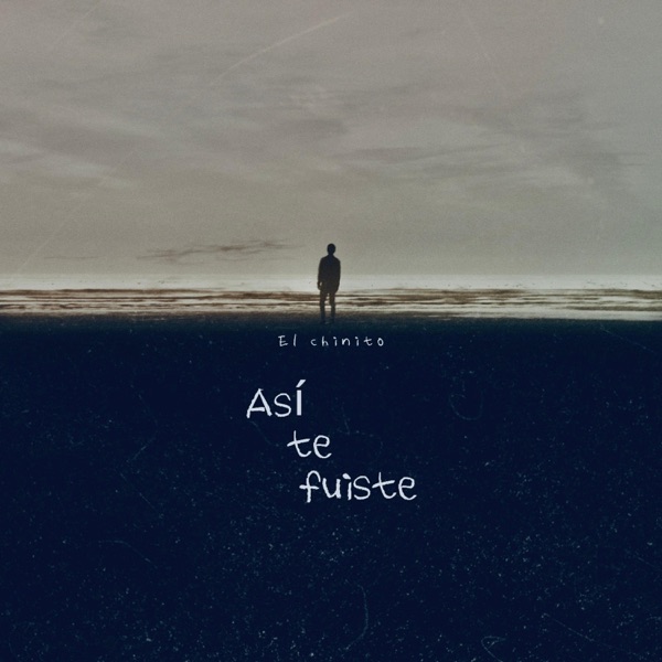 Así te fuiste