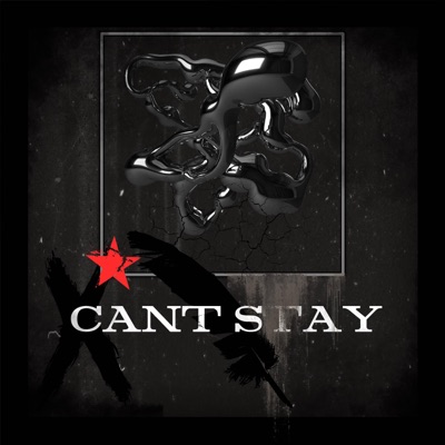 Cant stay - Single