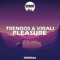 Pleasure - Trendos & Virali lyrics