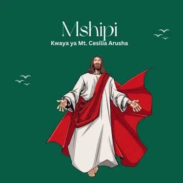 Mshipi