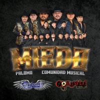 Miedo - Single - Palomo & Comunidad Musical