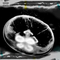 Lily Chou-Chou - Single - N!vel