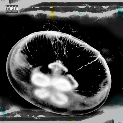 Lily Chou-Chou - Single