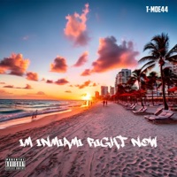 I'm in Miami Right Now - Single - T-Moe44
