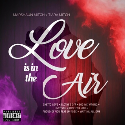LOVE IS IN THE AIR (feat. Tiara Mitch)