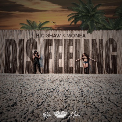 Dis Feeling - Single