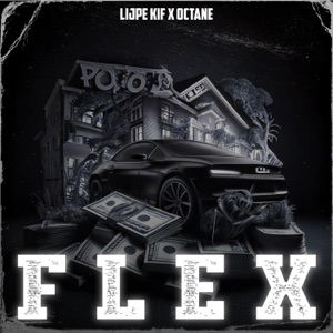 FLEX (feat. OCTANE)