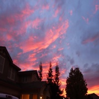 dnd (feat. Oscar Tylese & King Gabe) - Single - Bummy Records