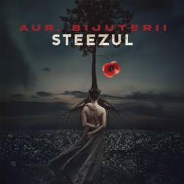 Aur, bijuterii Steezul