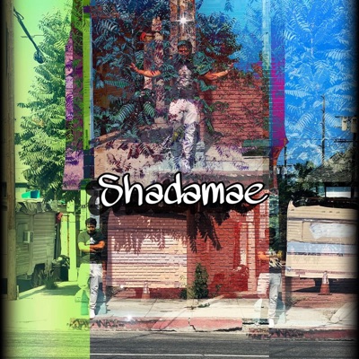 In plain sight. - Single