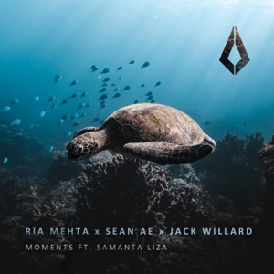 Moments (feat. Samanta Liza) - Single