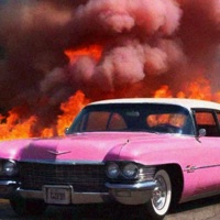 Cadillac Rose - Single - Koza & 3dot