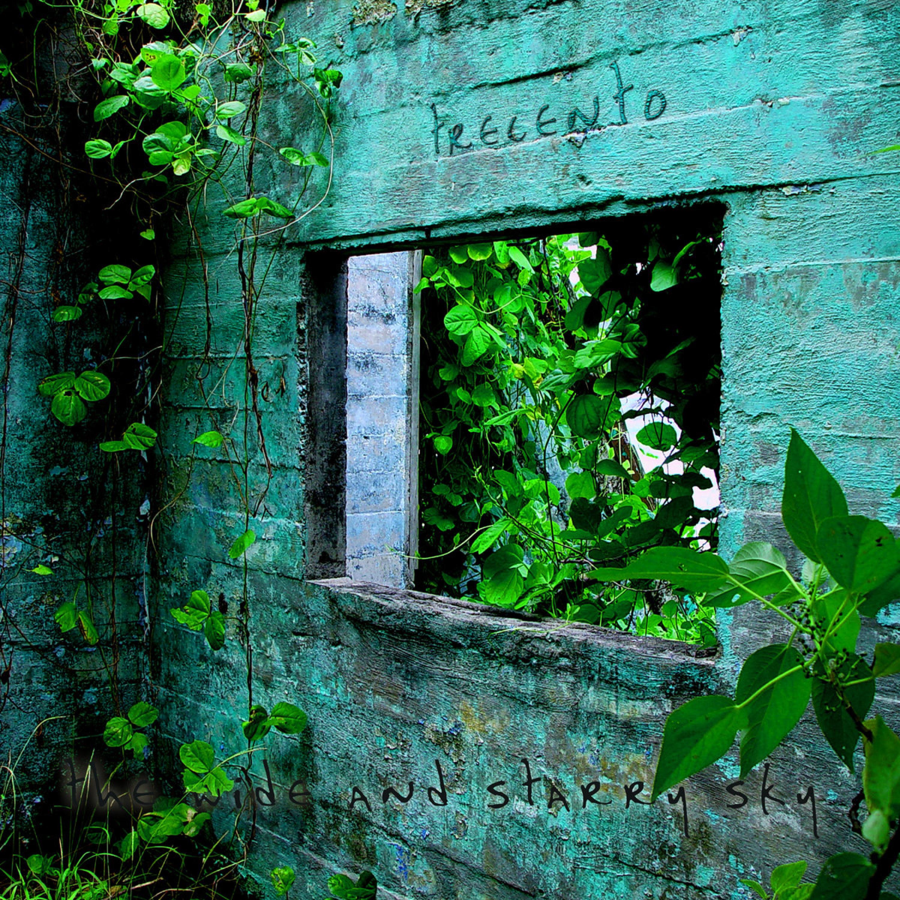 The Wide and Starry Sky