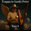Tore S - Trappa te Sankt Peter