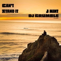 Can't Stand It (feat. DJ Grumble) - Single - J Mint