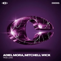 True Love - Single - Adiel Mora & Mitchell Wick