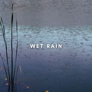 Gentle Night Rain - EP