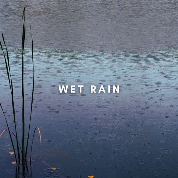 Gentle Night Rain - EP