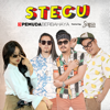 Stecu (feat. Sallsa Bintan) - 3 Pemuda Berbahaya