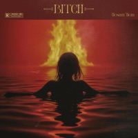 BITCH - Single - HesamTiem