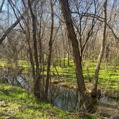 Hidden In the Midst - Single