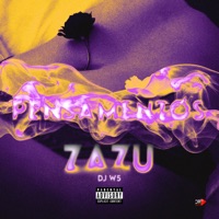 Pensamentos - Single - zazu