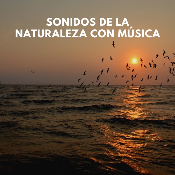 Sonidos de la Naturaleza con Música