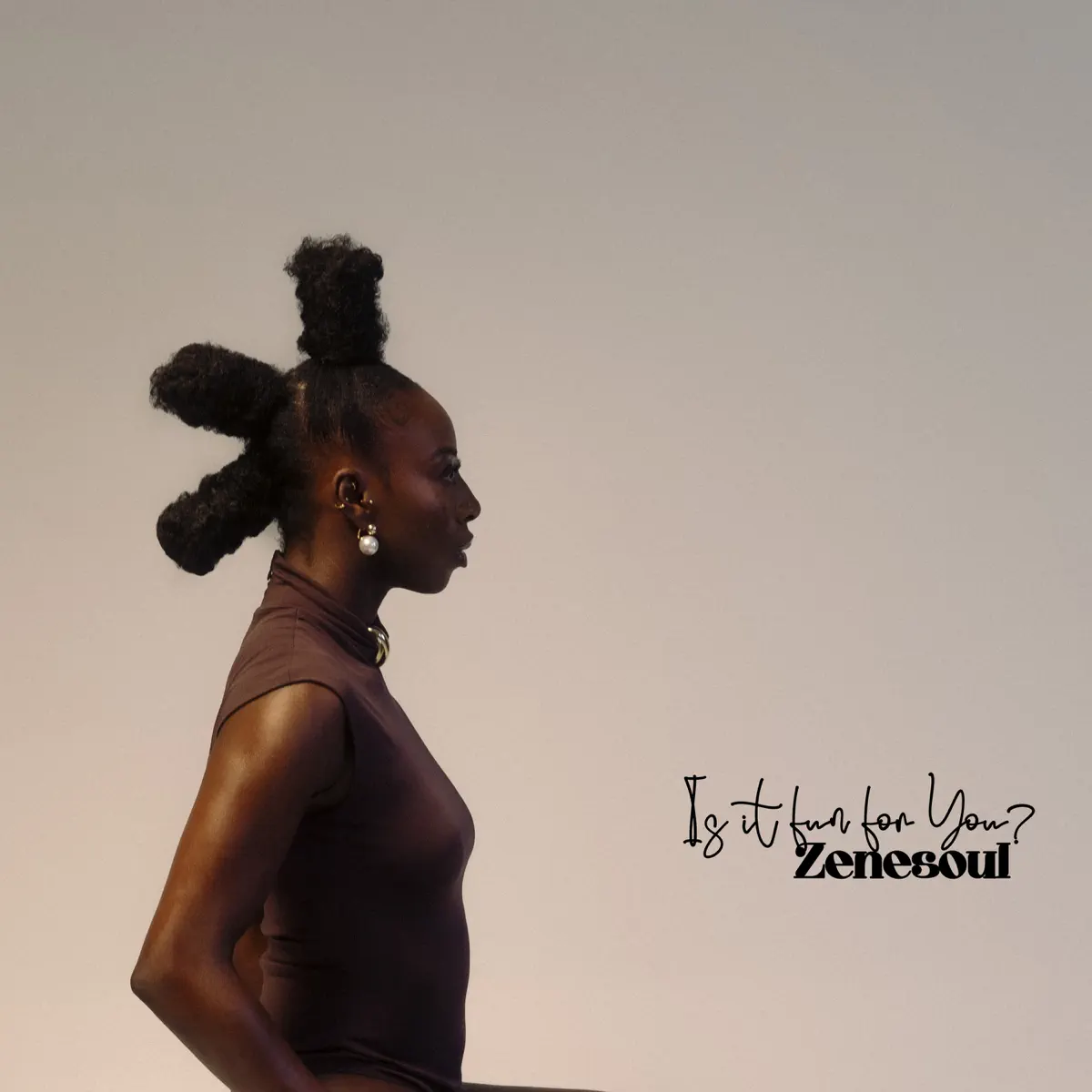 Zenesoul - Is it fun for you? (2024) [iTunes Plus AAC M4A]-新房子
