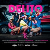 Delito (feat. DALY PRODUCER & DIMELOMEGA) - Single - La Reina Negra