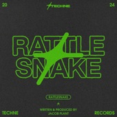 Rattlesnake artwork